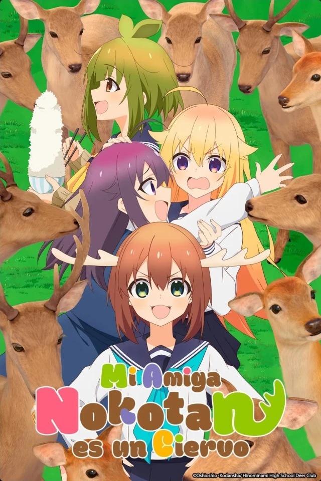 Mi Amiga Nokotan es un Ciervo: La Guía Definitiva del Anime de la Chica Ciervo - Cómo se llama el anime de la cierva anime ciervos - Cómo se llama el anime de la cierva
