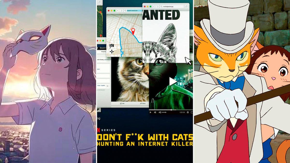 Anime donde el protagonista se convierte en gato: Una exploración de las transformaciones felinas en la animación japonesa - Cómo se llama el gatito de Suzume anime donde el protagonista se convierte en gato - Cómo se llama el gatito de Suzume