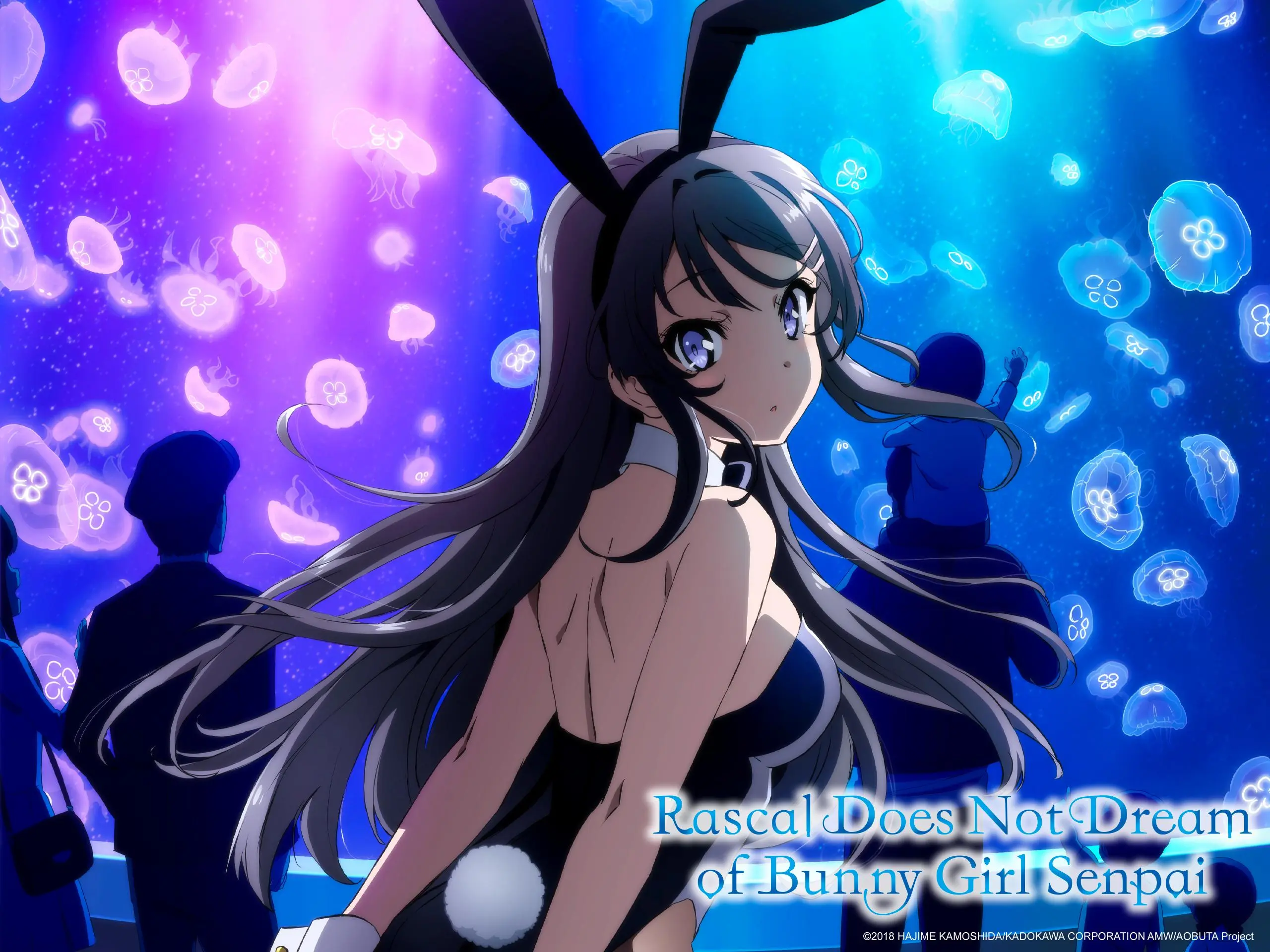 Mujer Conejo Anime: Un Análisis de Personajes y su Popularidad - Cómo se llama la serie de Bunny Girl Senpai anime mujer conejo - Cómo se llama la serie de Bunny Girl Senpai