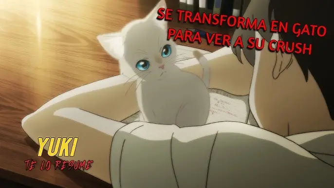 Anime: Chica que se convierte en gato - Cuál es el anime donde el personaje se convierte en gato anime chica que se convierte en gato - Cuál es el anime donde el personaje se convierte en gato