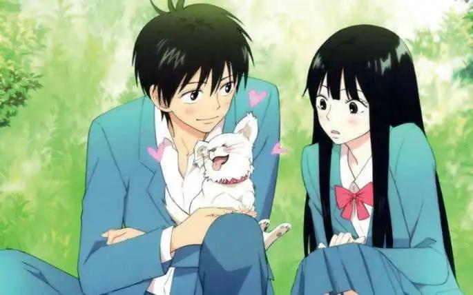 anime genero shoujo - Cuál es la diferencia entre shoujo y josei