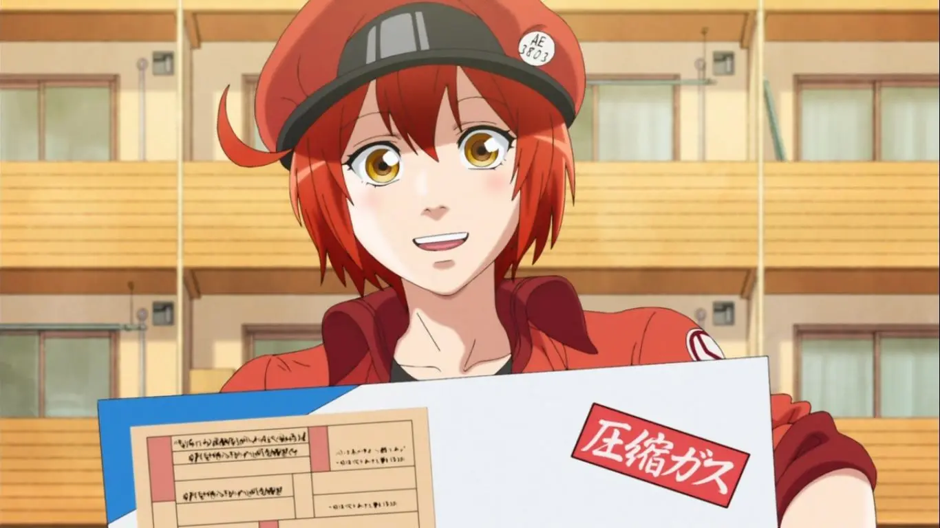 anime globulo rojo - Cuántas temporadas tiene Cells at Work