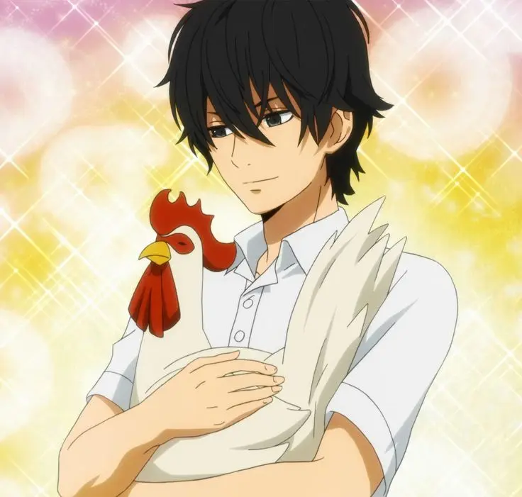 anime gallina - Cuántos capítulos tiene el anime My Little Monster