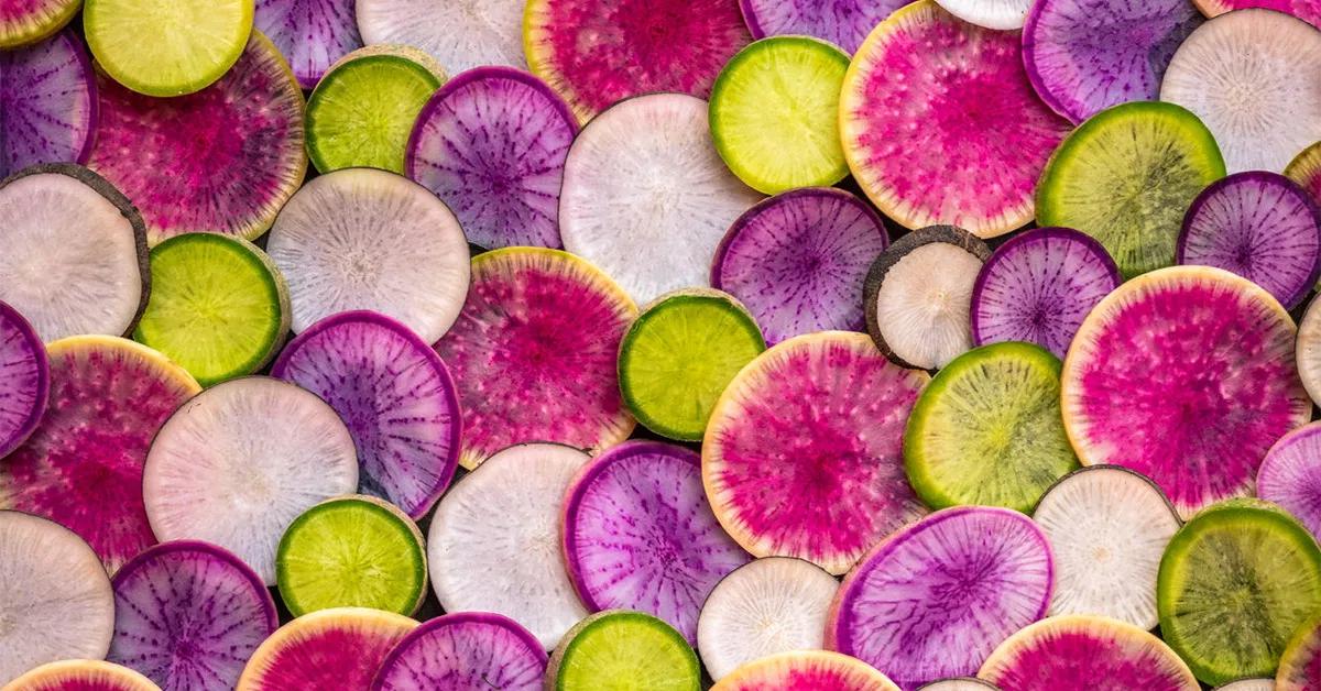<b>Daikon Radish en el Anime y la Cultura Japonesa: Una Exploración Completa</b> - Is daikon radish healthy daikon radish anime - Is daikon radish healthy