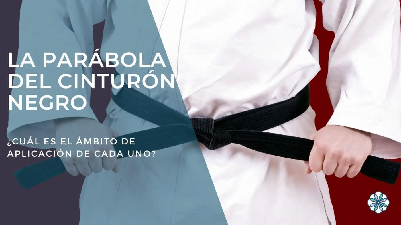 <b>Cinturón Negro Anime</b>: Un Análisis Profundo de Yawara! - Qué es el cinturón negro cinturo negre anime - Qué es el cinturón negro