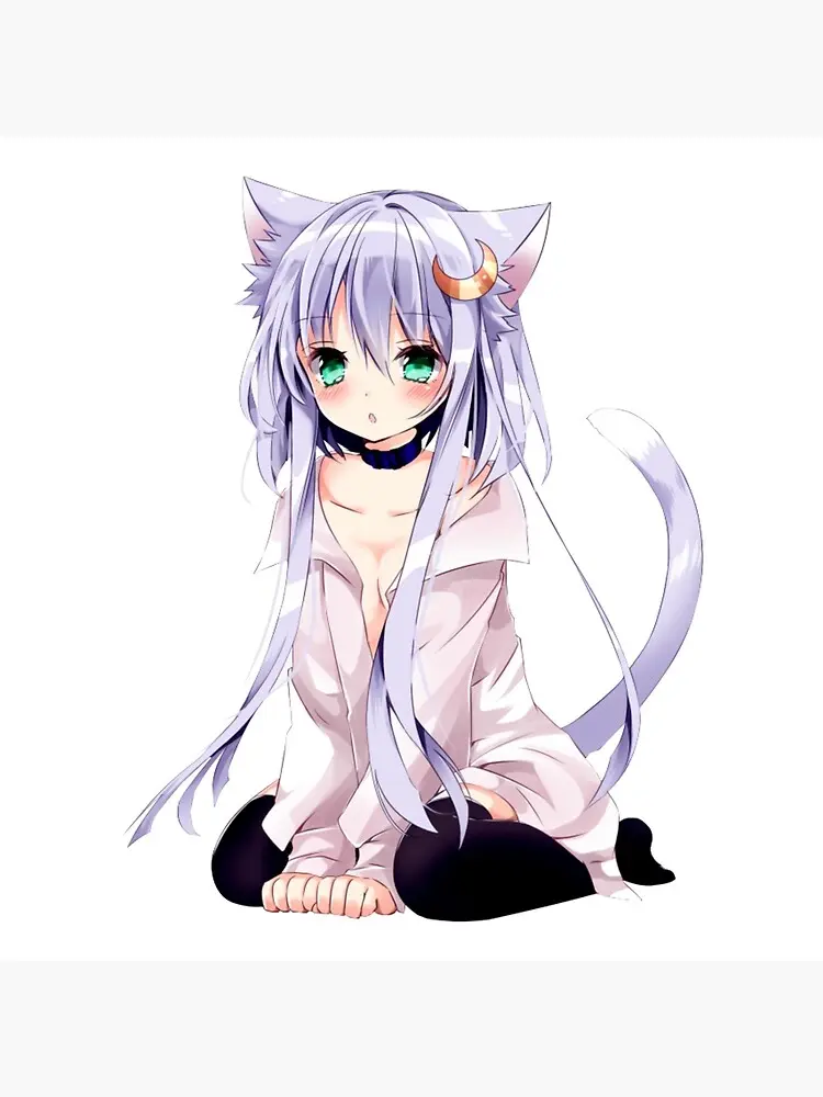 anime neko - Qué es una chica neko