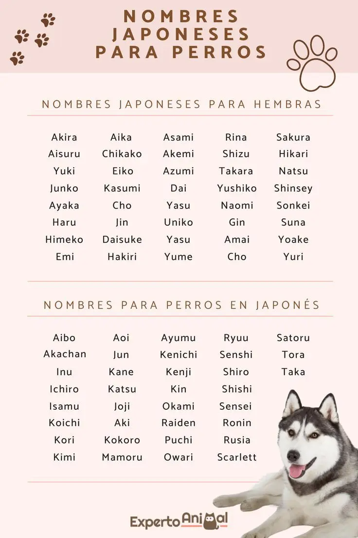 nombres de perros machos anime - Qué nombre es bonito para perro macho