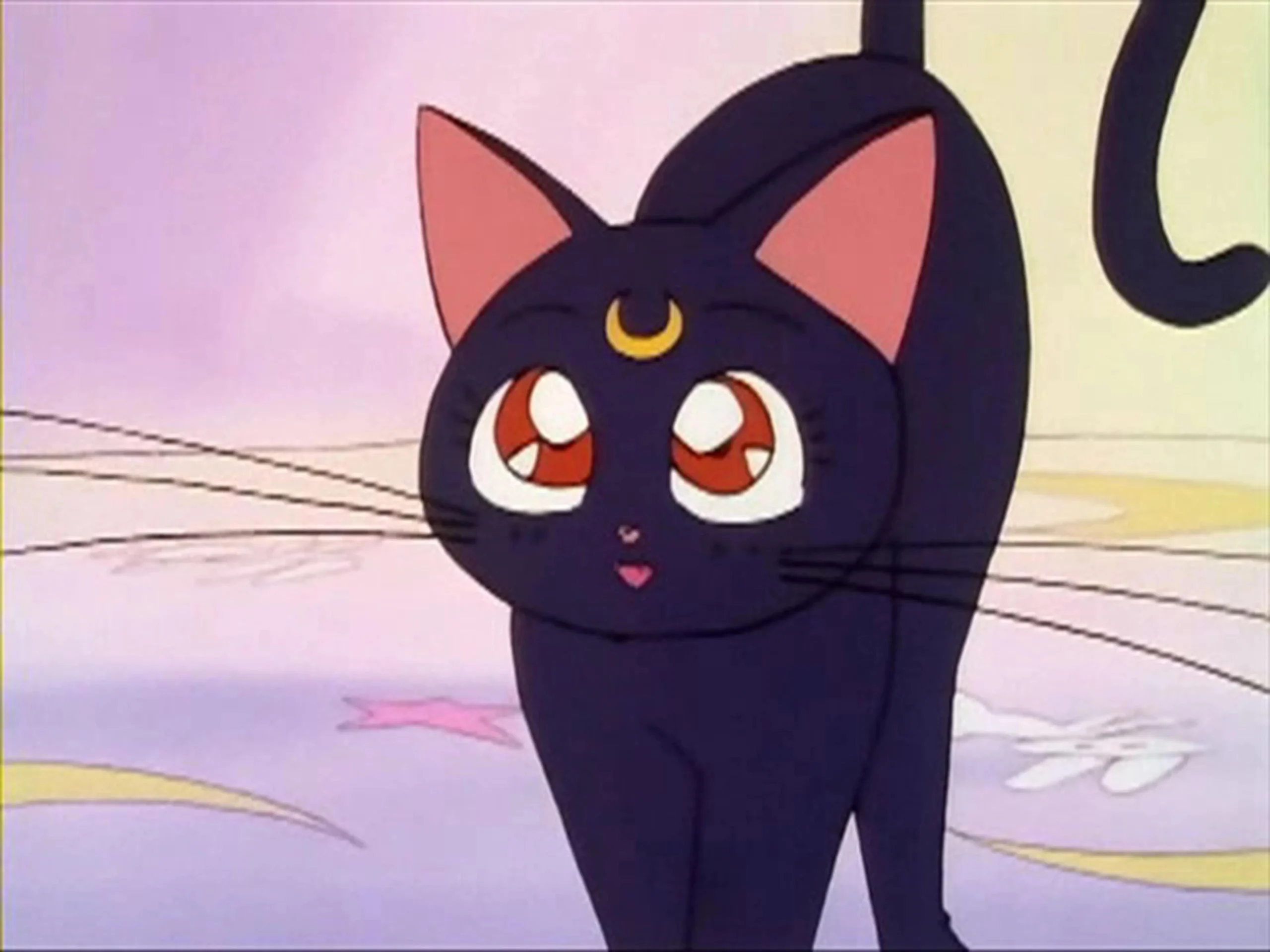 Nombres de Animales de Anime: Guía Completa para Elegir el Perfecto - Qué nombres hay para animales nombre de animales de anime - Qué nombres hay para animales