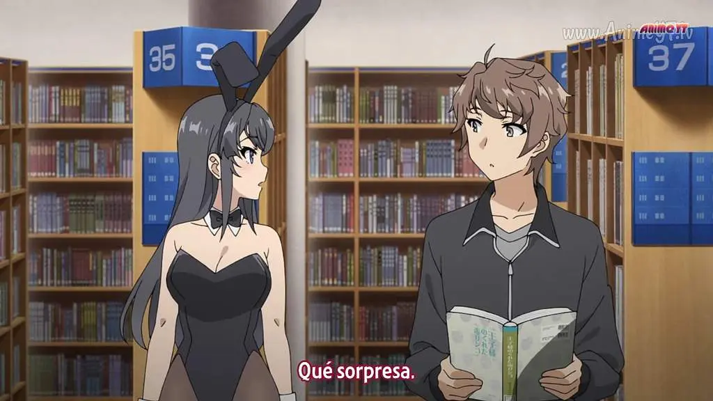 Cómo se llama el anime de la chica conejo? Guía completa de Seishun Buta Yarō - Qué significa seishun buta yarou wa bunny girl senpai no yume wo minai como se llama el anime de la chica conejo - Qué significa seishun buta yarou wa bunny girl senpai no yume wo minai