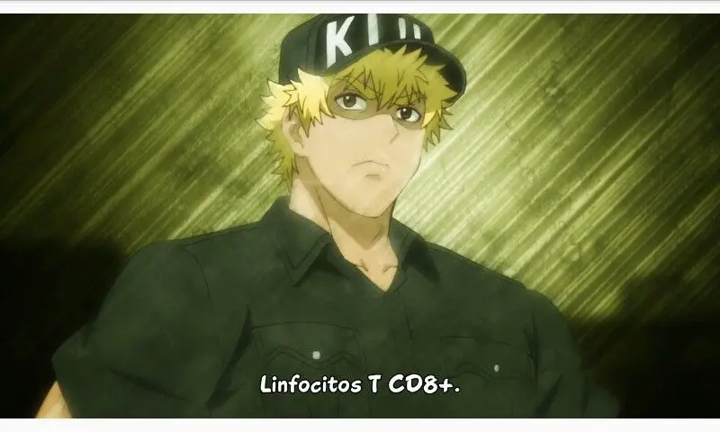 linfocitos t anime - Qué son los linfocitos T altos