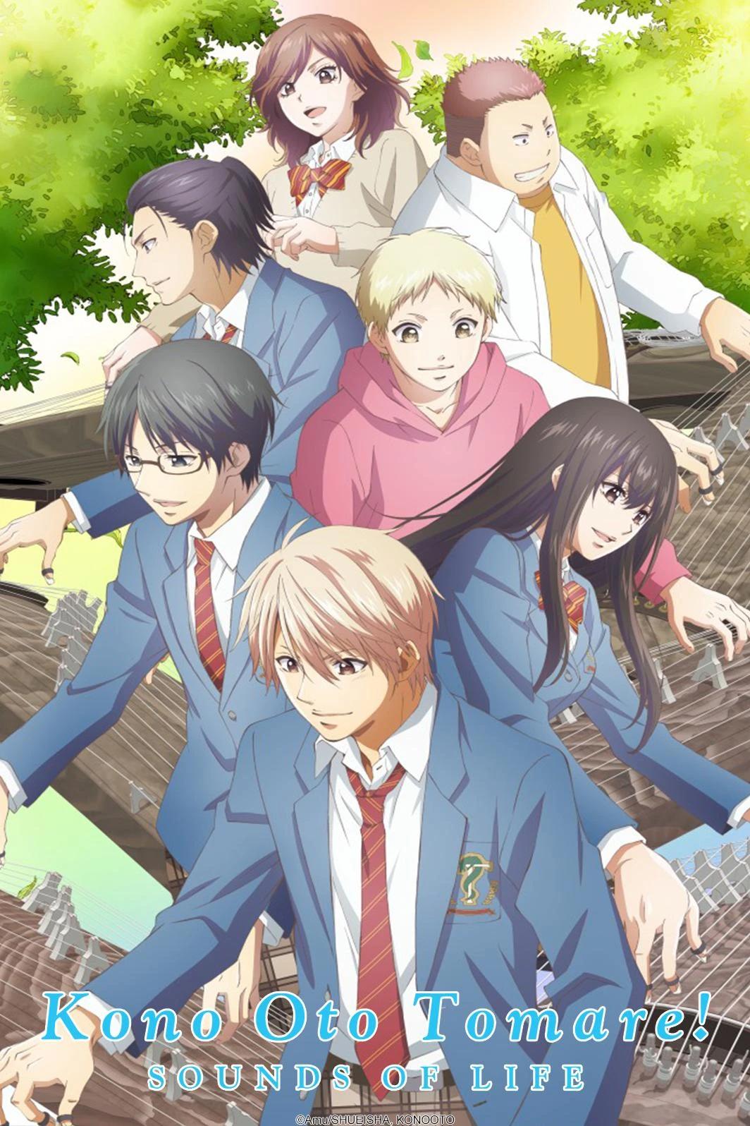 Anime donde tocan el Koto: Una exploración musical de Kono Oto Tomare! - Quién es el prota de Kono Oto Tomare anime donde tocan el koto - Quién es el prota de Kono Oto Tomare