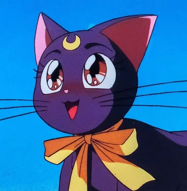 best anime cat - What anime character loves cats
