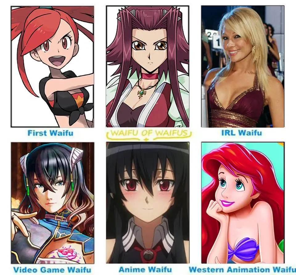 anime waifu meme - What does anime waifu mean