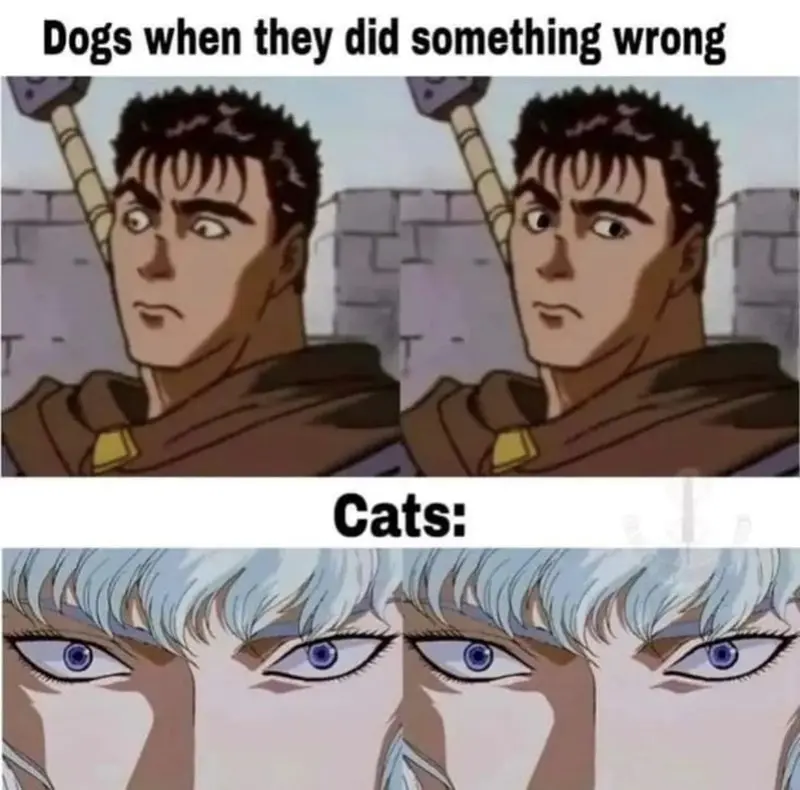 <b>Berserk Anime Memes</b>: Un Fenómeno de Internet - What does Berserk mean in the anime berserk anime meme - What does Berserk mean in the anime