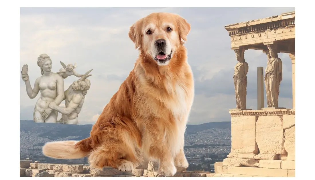 Nombres de Mascotas en Anime: Guía Completa para Elegir el Perfecto - What is a mythical name for a pet anime pet names - What is a mythical name for a pet