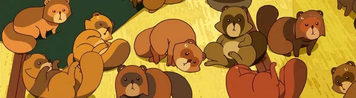 udon anime - What is the anime about the tanuki kid