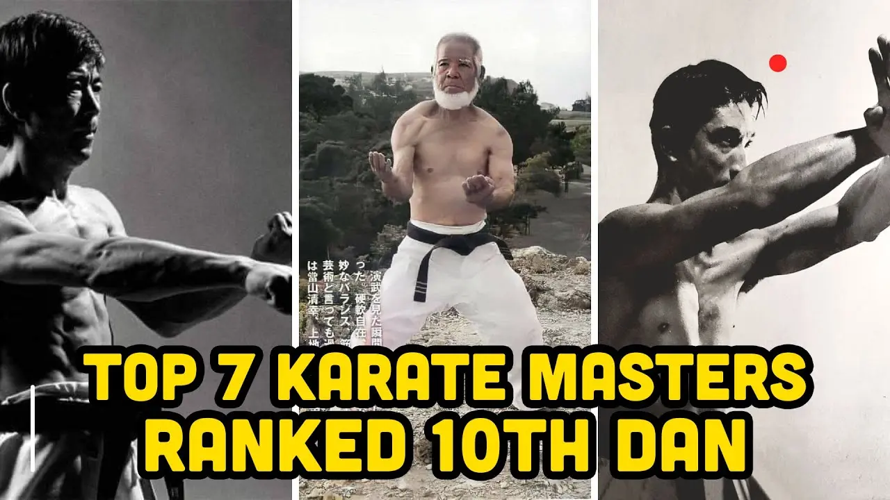Maestros de Karate: Un Viaje a través del Tiempo y las Artes Marciales - What is the highest ranking karate master anime karate master - What is the highest ranking karate master