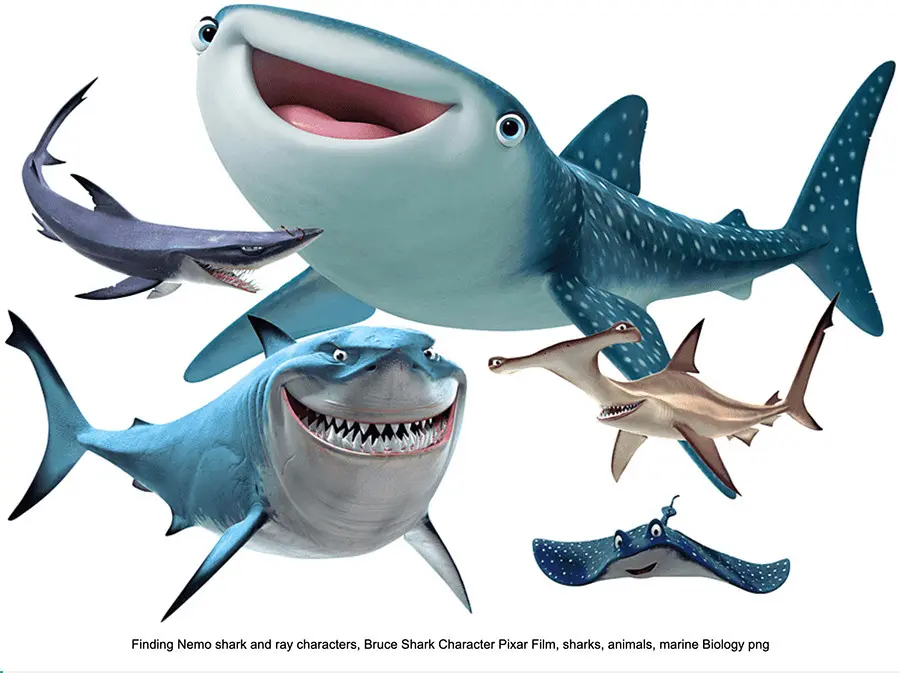 Anime Shark Mermaid: Un Viaje al Mundo Submarino de One Piece y Más Allá - What kind of shark is in The Little Mermaid anime shark mermaid - What kind of shark is in The Little Mermaid