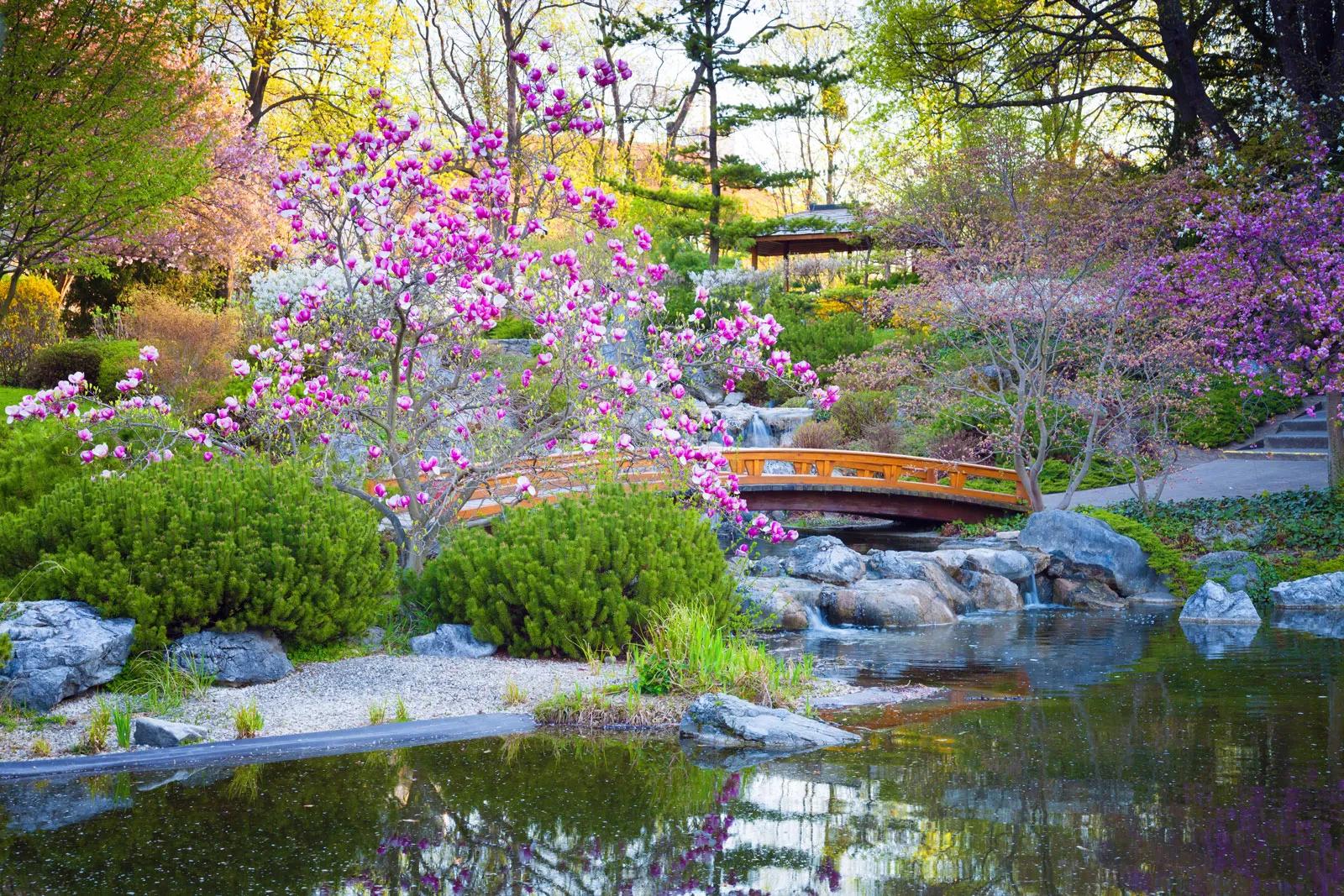 <b>Anime Garden Backgrounds</b>: Un Mundo de Paz y Conflicto en el Diseño de Paisajes Animados - What makes a Japanese garden a Japanese garden anime garden background - What makes a Japanese garden a Japanese garden