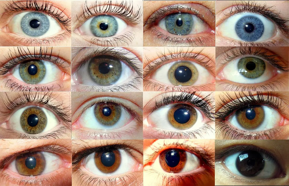 Anime Violet Eyes: Un Análisis Completo - What race has violet eyes anime violet eyes - What race has violet eyes
