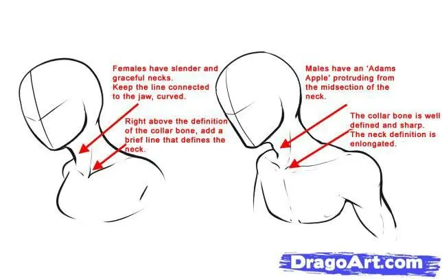 neck anime - Why do ballroom dancers have long necks