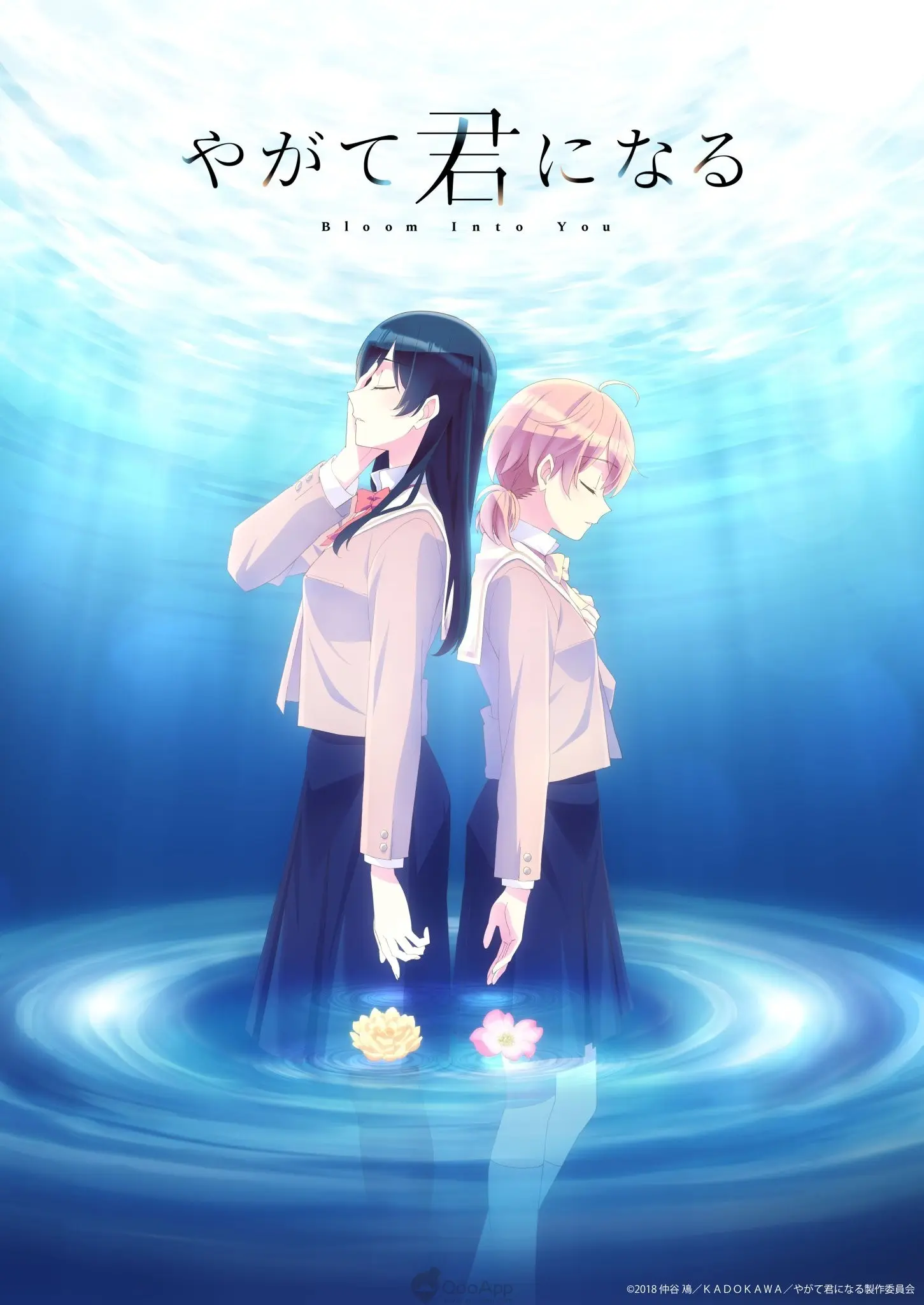 Bloom Into You: Un Análisis Profundo de la Adaptación Anime Incompleta - Why is the Bloom Into You anime unfinished anime bloom into you - Why is the Bloom Into You anime unfinished
